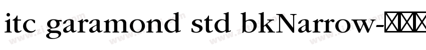 itc garamond std bkNarrow字体转换